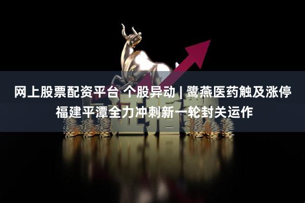 网上股票配资平台 个股异动 | 鹭燕医药触及涨停 福建平潭全力冲刺新一轮封关运作