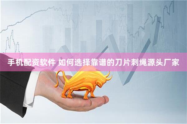 手机配资软件 如何选择靠谱的刀片刺绳源头厂家